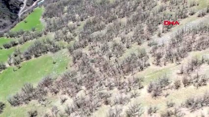 Şemdinli'de, drone destekli operasyonda PKK'ya ait silah mühimmat ele geçirildi