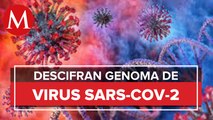 Virus SARS-CoV-2 que circula en México sigue 99.97% idéntico al de Wuhan