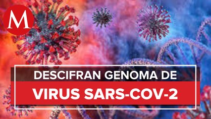 Скачать видео: Virus SARS-CoV-2 que circula en México sigue 99.97% idéntico al de Wuhan