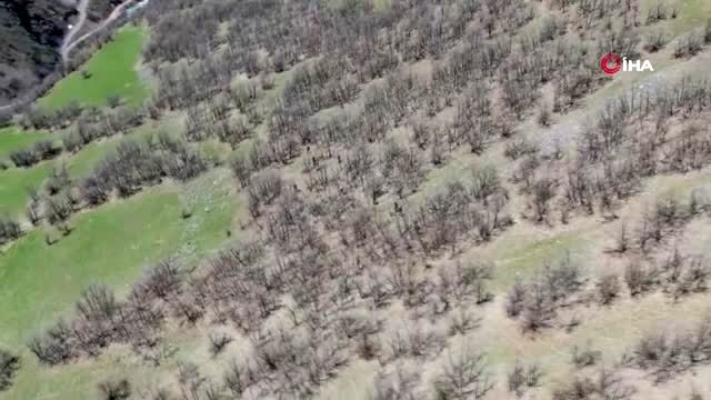 Hakkari'de terör örgütüne ait silah ve mühimmat ele geçirildi