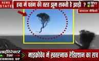 Lie Detector Test: क्या है हवा में उड़ती जादुई झाड़ियों का सच, देखें वायरल होते हुए वीडियो की हकीकत