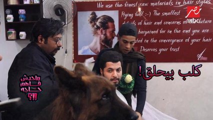 تعمل إيه لو دخلت تحلق لقيت كلب بيحلق جنبك #ماحدش_فاهم_حاجة