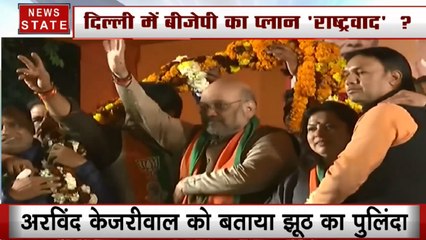 राष्ट्रवाद के बहाने बीजेपी का दिल्ली पर फतह, चुनावी रैली में Article 370, राम मंदिर का उठाया मुद्दा