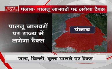 पंजाब में पालतू जानवर पालने पर लगेगा टैक्स