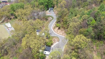 국립 자연휴양림 개방 이후 첫 주말...'사회적 거리두기' 지켜야 / YTN