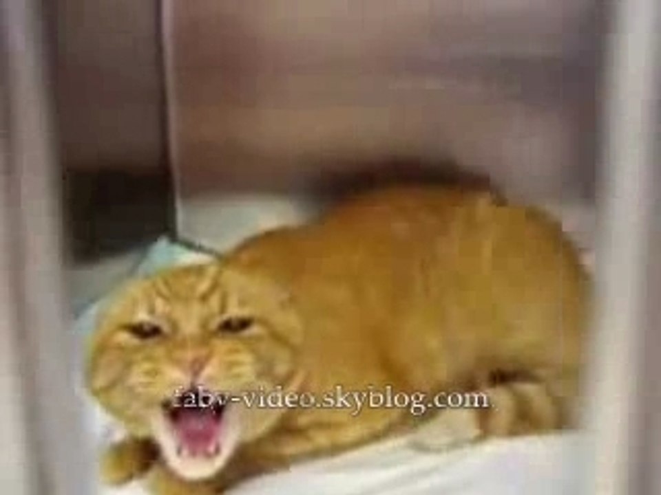 Chat demon