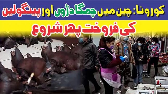 Coronavirus COVID-19 || China Reopens Wet Markets in Wuhan Sells Bats And Pangolin Resumes