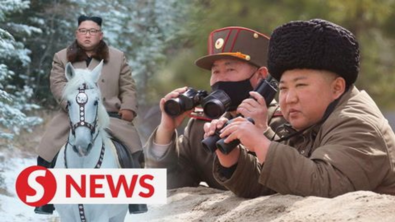 China sent team to give advice on Kim Jong Un’s health, say Reuters sources