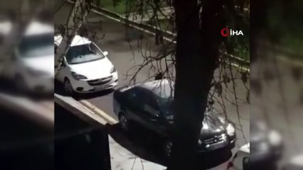 Öğrencilerden boşalan kampüse kurtlar dadandı