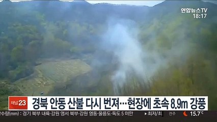 下载视频: 경북 안동 산불 재확산…현장에 초속 8.9m 강풍