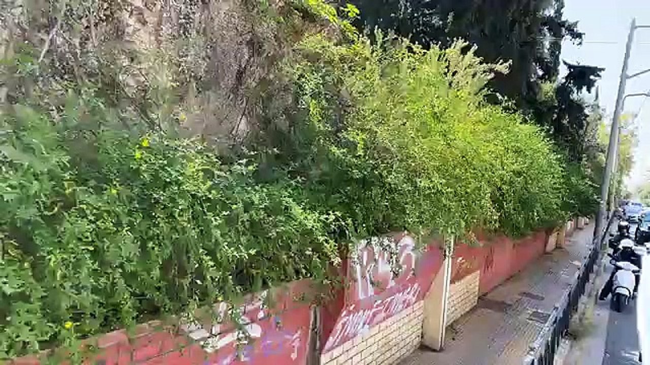 Απίστευτο! Η Άλκηστις Πρωτοψάλτη βγήκε στους δρ...