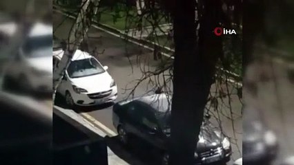 Öğrencilerden boşalan kampüse kurtlar dadandı