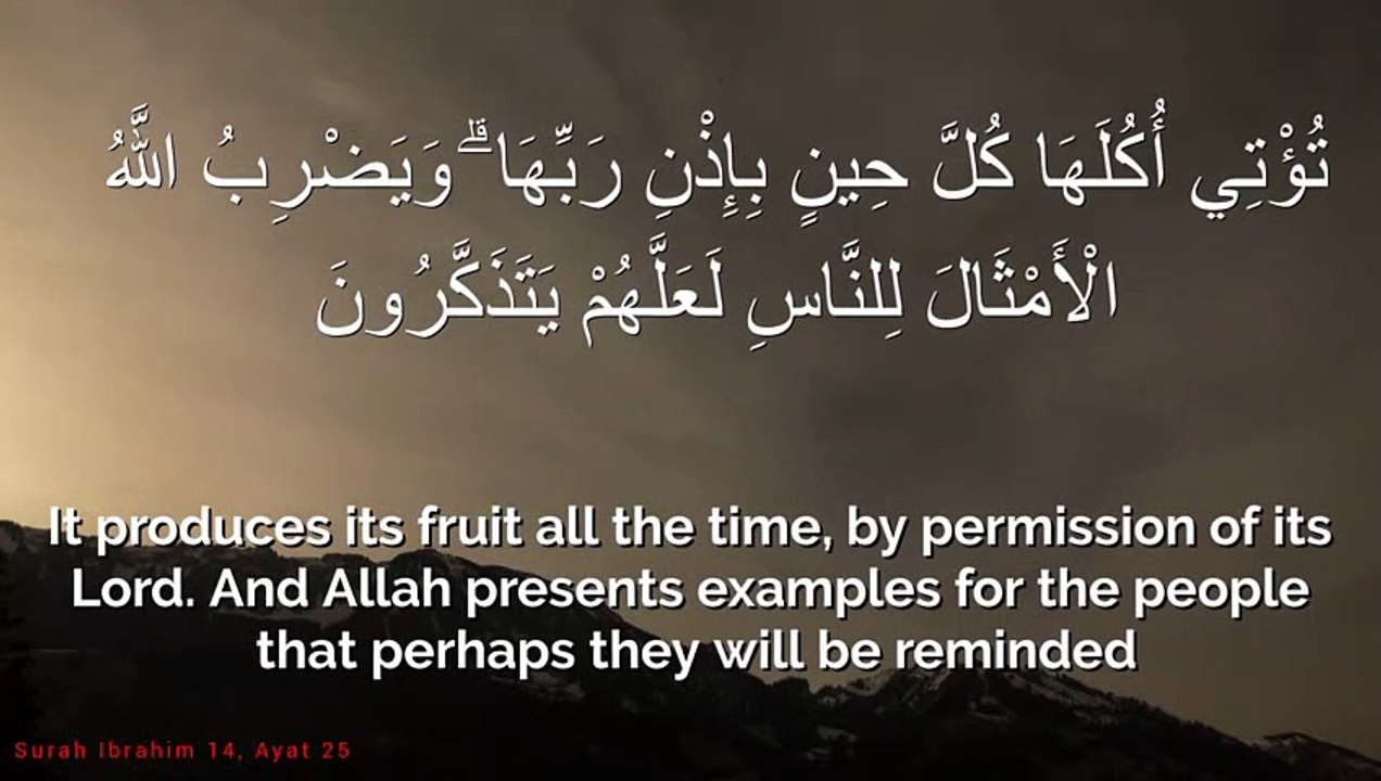 Surah ibrahim 014:025