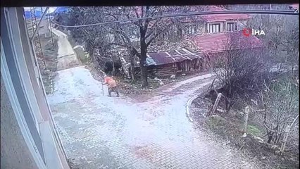 Nallıhan'da kaybolan yaşlı kadın 70 gündür bulunamadı.