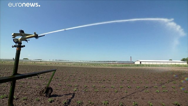 Finito l'inverno più caldo di sempre, ecco la primavera più secca che mai