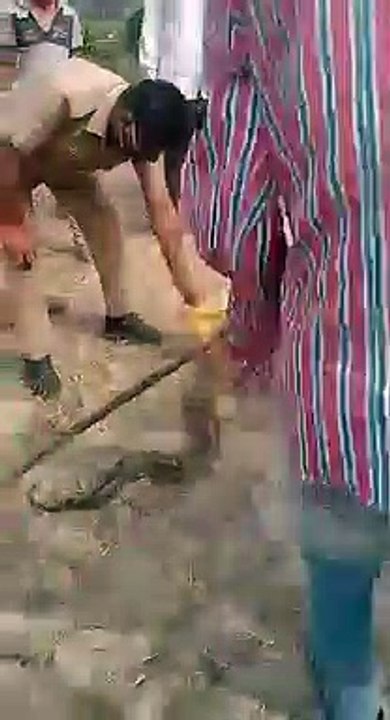 अयोध्या: गन्ने के खेत में 4 मीटर लंबा अजगर दिखने से मचा हड़कंप