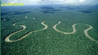 facts about amazon jungle in Hindi | largest jungle in the world | amazon forest | amazon Jungle