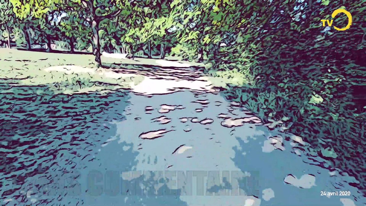 sans commentaire: ballade aux Evaux à Onex