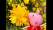 FLOWERS and London Exploring with PEPPA PIG Toys-