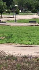 Abaten un jabalí de 70 kilos de peso en las calles de Peralta