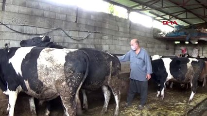 GAZİANTEP İhbarla çağırdığı, veteriner hekimlerin günlerini kutladı