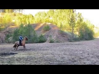 Hors Falls - Fails  And Bloopers 2020