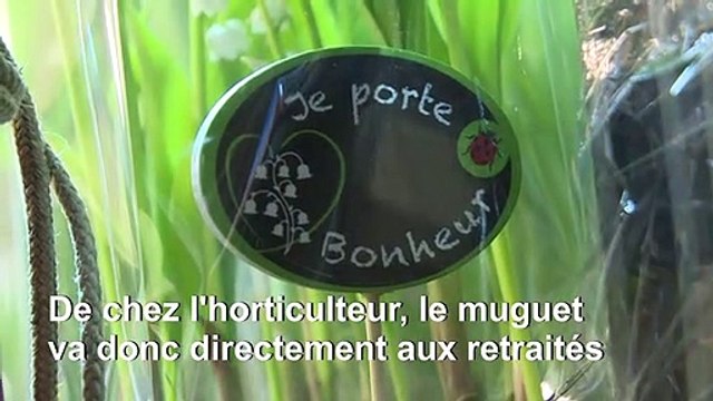 L'entraide au temps du virus: du muguet dans les Ehpad, pour aider les horticulteurs