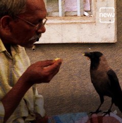 Watch The Story Of A Four-Year Friendship Between A Crow And A Rickshaw Driver