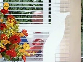 a turma do didi 15/07/2007