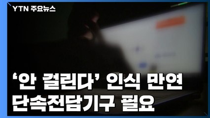 "안 걸린다" 인식 만연..."디지털 성범죄 전담기구 필요" / YTN