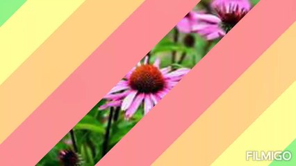 Home/Natural Remedies of Coronavirus Prevention