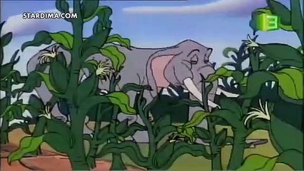 كرتون علاء الدين - مصري - الموسم الثاني - الحلقة الثانية