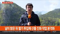 안동 산불 사흘째…진화 총력 속 오전 최대 고비