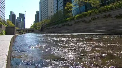 [날씨] 휴일, 쾌청하지만 대기 건조...건조 특보 강화 / YTN