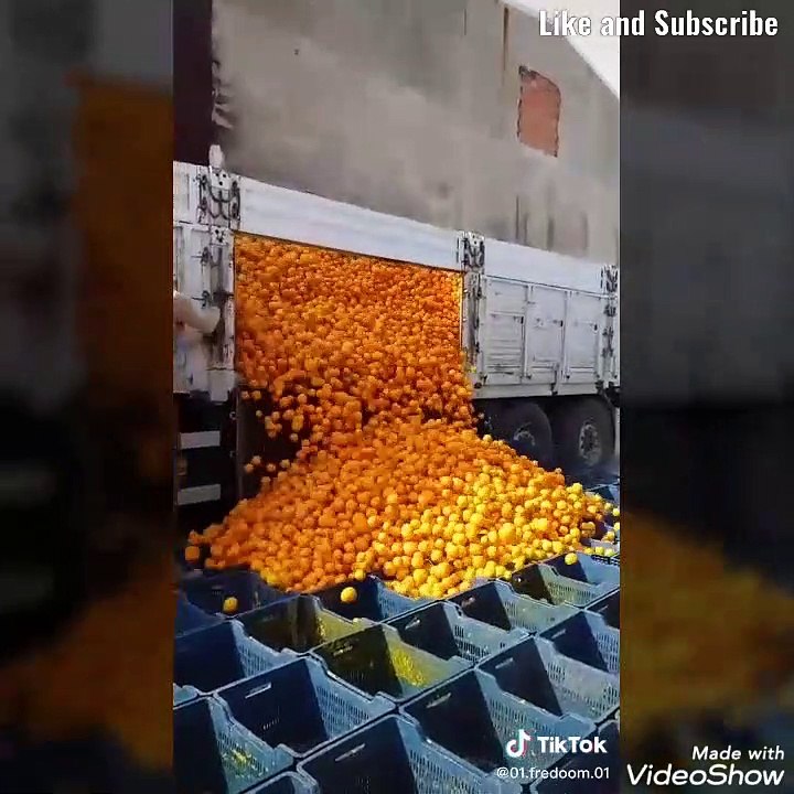 Amazing video for today  14