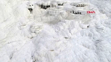 DENİZLİ Pamukkale çiçek açtı