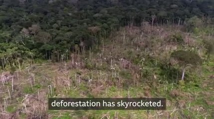 Save Colombia rain foresrt: The two main rainforests Amazon and  Chocó