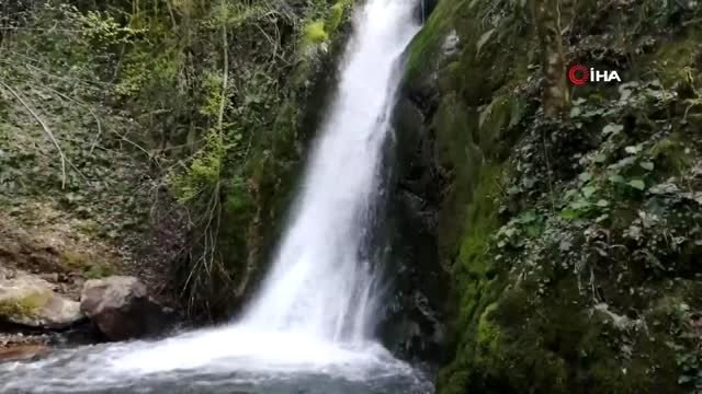 Vatandaşlar tedbirlere uydu, mesire alanları boş kaldı