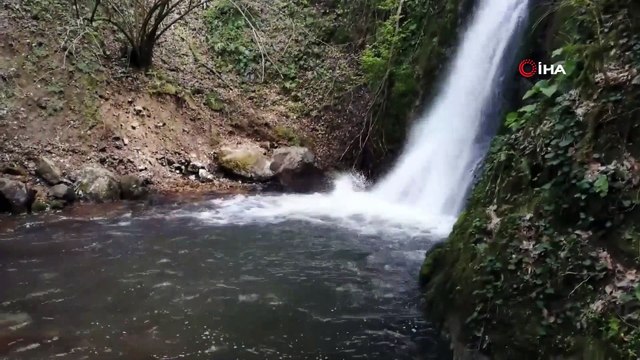 Vatandaşlar tedbirlere uydu, mesire alanları boş kaldı