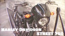 Harley davidson STREET 750