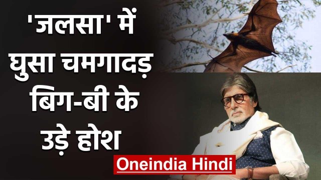 Amitabh Bachchan shares 'Breaking News', a BAT enters his room amid Lockdown | वनइंडिया हिंदी