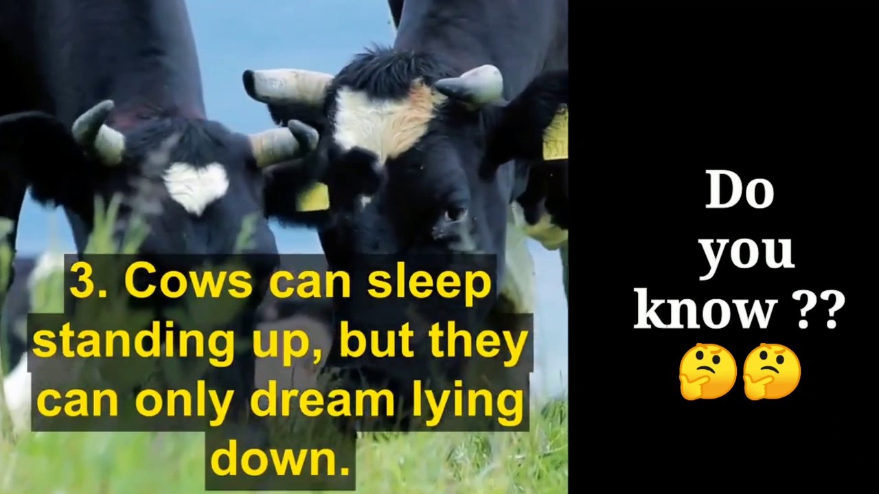 Top 20 Interesting Facts- Part 1