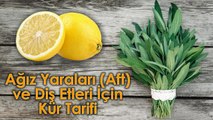 Ağız Yaraları (Aft) ve Diş Etleri İçin Kür Tarifi