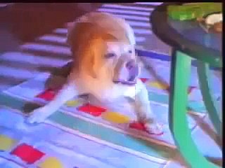 1991- Lehar Pepsi - The choice of a new generation