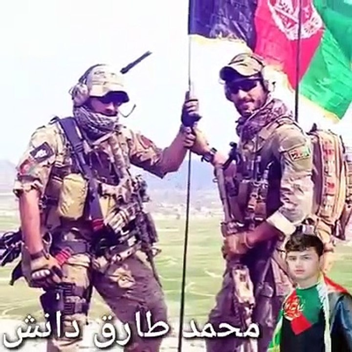 زمريان او ګورى