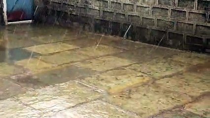 बिन मौसम के हुई बरसात नीमच में