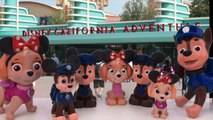 Paw Patrol Toys Skye and Chase Baby First Disney Trip La Pat Patrouille Learn Colors Learning Videos