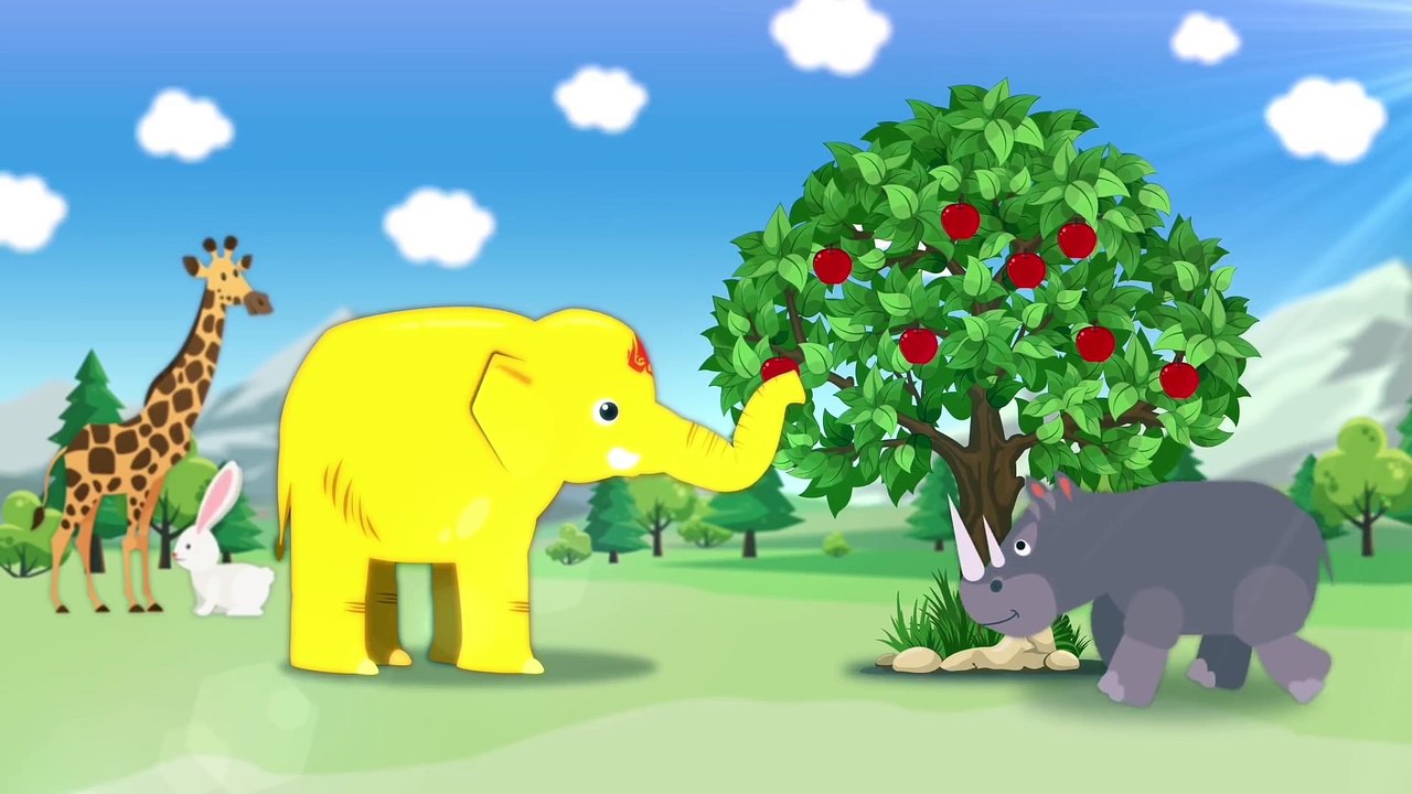 Learn colors Vlog My name is Bru Baby elephant Who is my animal friend like me