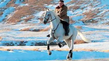 Kuzey Kore devlet radyosuna göre Kim Jong-un çalışmalarına devam ediyor