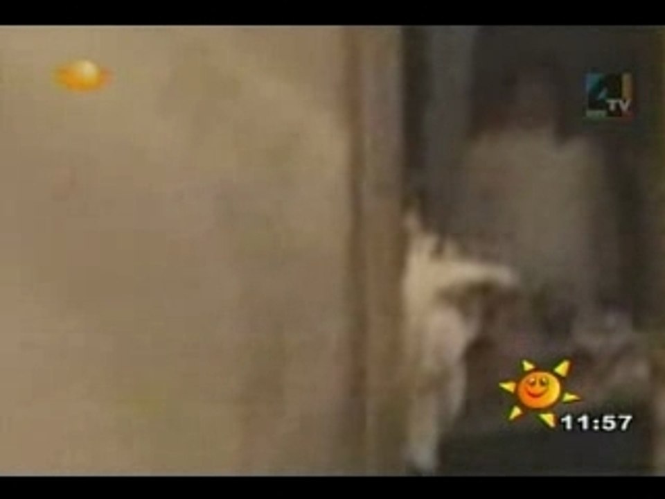 Ghost girl